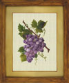 Grape motif, cross-stitch